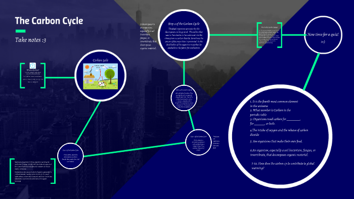 The Carbon Cycle by Tristan Abrantes on Prezi