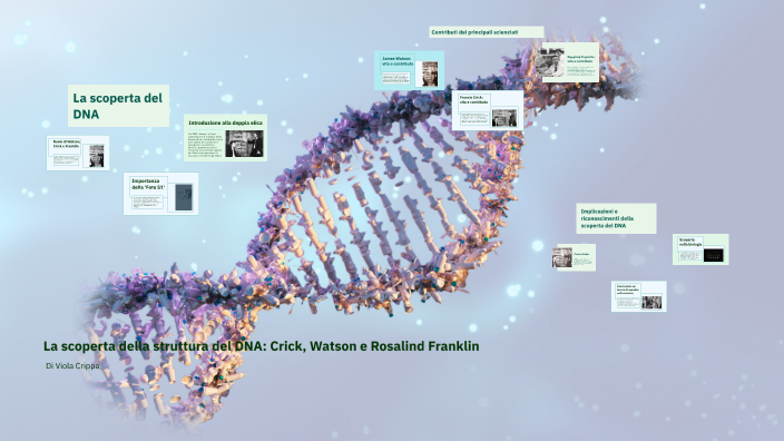 La scoperta della struttura del DNA: Crick, Watson e Rosalind Franklin