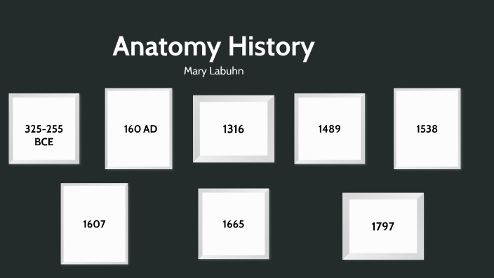Anatomy History by Mary Labuhn on Prezi