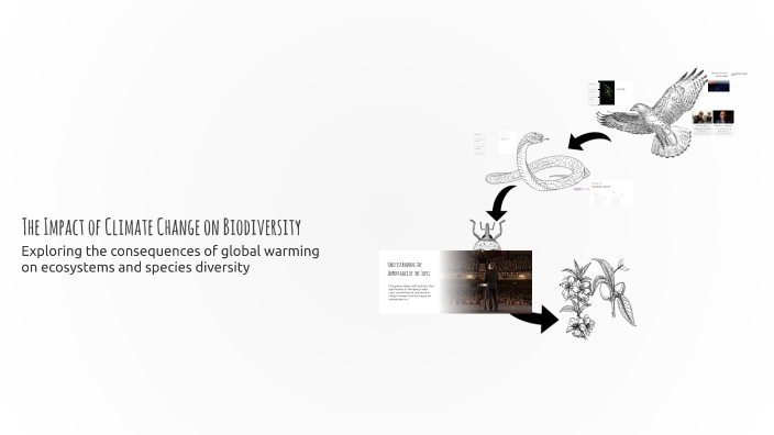 The Impact of Climate Change on Biodiversity by on Prezi