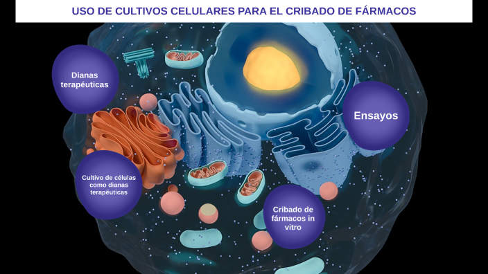 USO DE CULTIVOS CELULARES PARA EL CRIBADO DE FÁRMACOS by Patricia ...