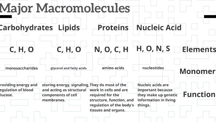 4-major-macromolecules-by-juan-barnes