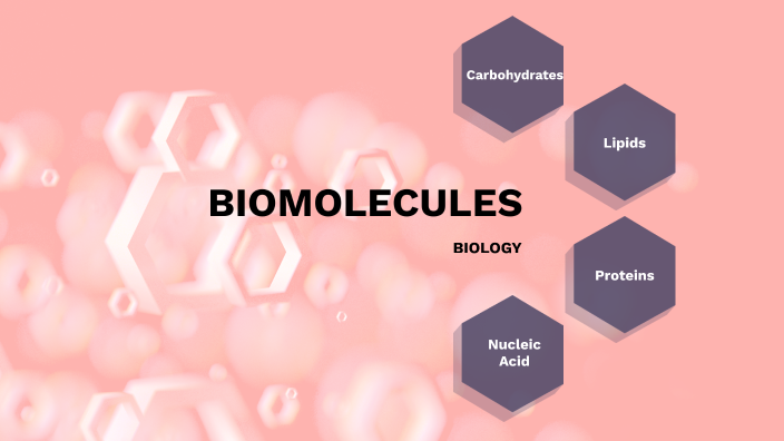 Biomolecule - Graphic Organizer by Francine Doctor on Prezi