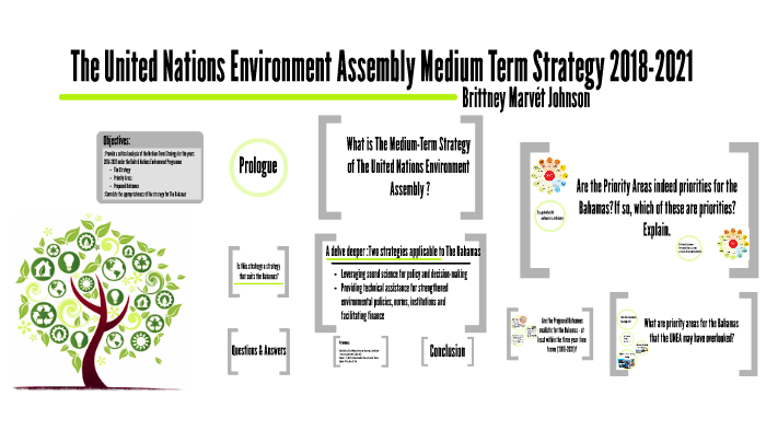 United Nations Environment Assembly Medium Term Strategy 20 By Brittney ...