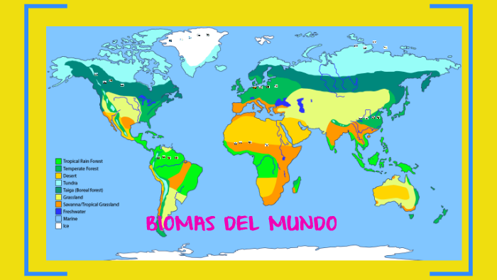 BIOMAS DEL MUNDO by Elizabeth Giuliana