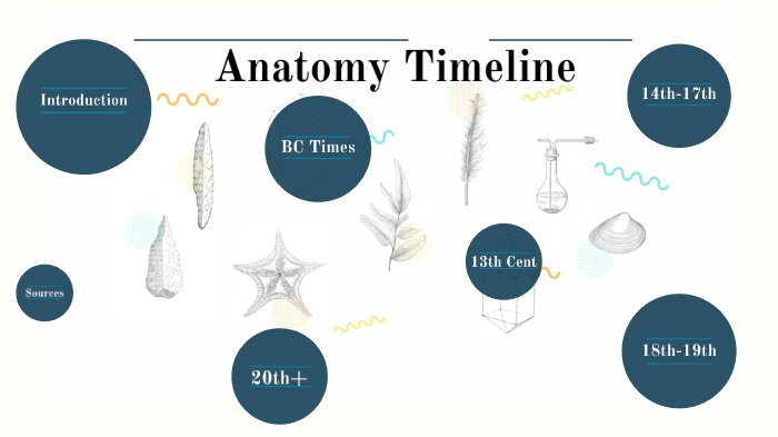 Anatomy Timeline by Destiny Burkhardt on Prezi