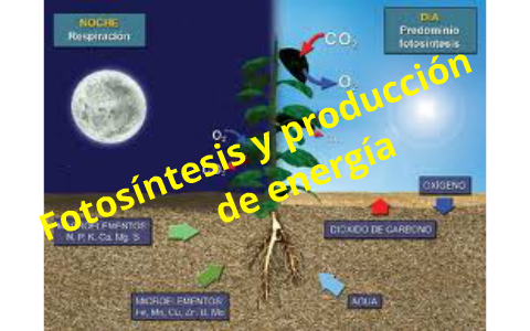 Era Asisten Virtual: Memahami Siri, Alexa, dan Google Assistant yang Mengubah Cara Kita Berinteraksi dengan Teknologi