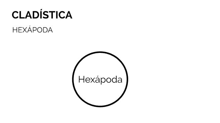 Cladística by Daniel Cebrián Castillo on Prezi