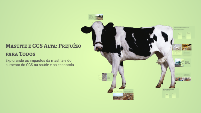 Mastite e CCS Alta: Prejuízo para Todos by Patrick CRUVINEL on Prezi