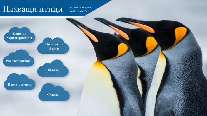 Плаващи Птици by Pav on Prezi