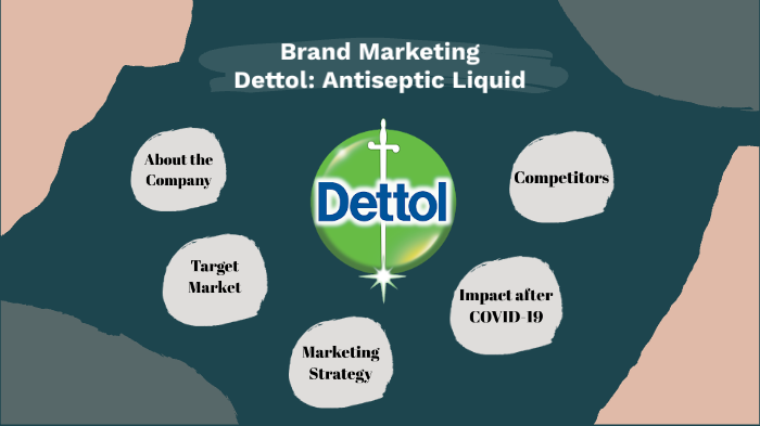 business plan on dettol production