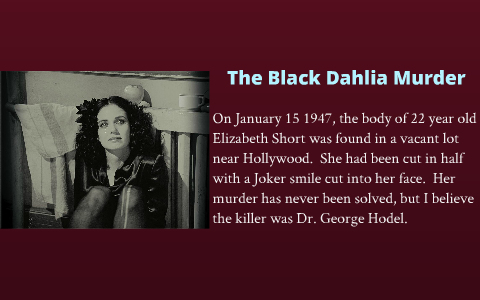 The Black Dahlia Murder By Rebecca Quattlebaum