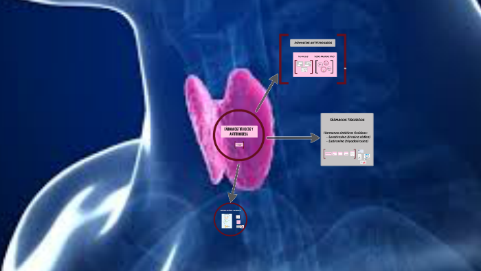 FÁRMACOS TIROIDEOS Y ANTITIROIDEOS By Ana Rivadeneyra On Prezi