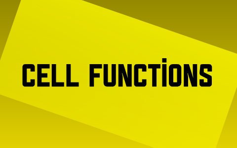 Cell Functions and the Origin of Mitochondria by Davis Roeser