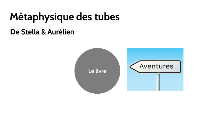 Métaphysique Des Tubes - Fiche De Lecture