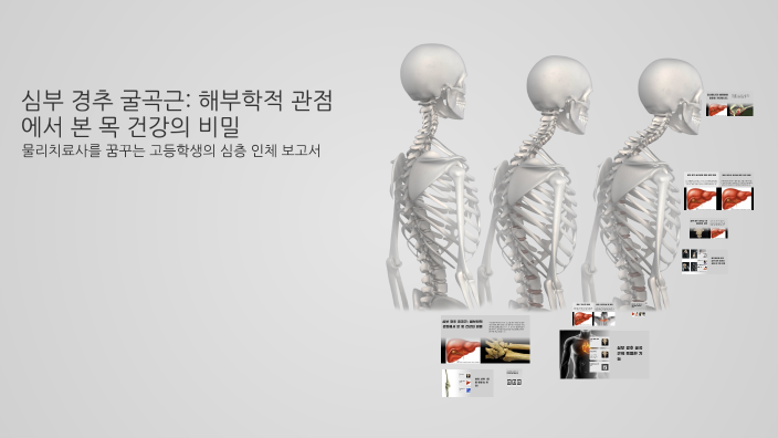 심부 경추 굴곡근: 해부학적 관점에서 본 목 건강의 비밀 by 이민우 on Prezi
