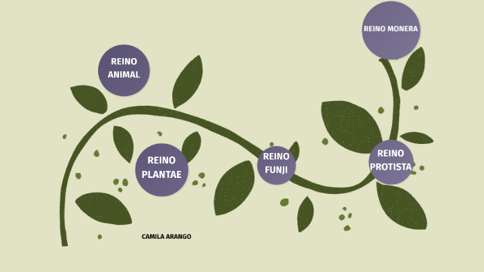 los reinos de la naturaleza by camila arango on Prezi
