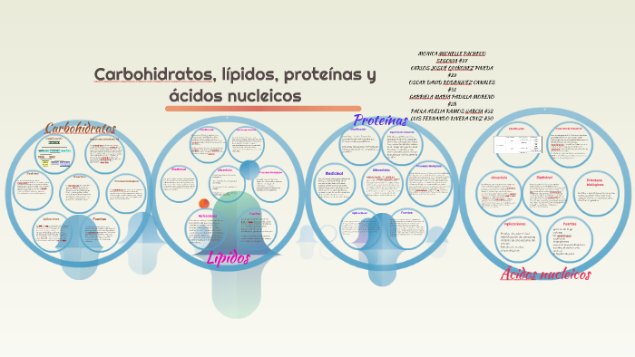 Carbohidratos, lípidos, proteínas y by Mónica Pacheco on Prezi