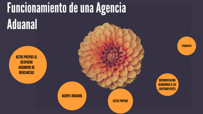 Funcionamiento De Una Agencia Aduanal By Yudith Bcñm On Prezi
