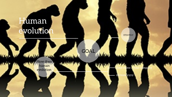 human evolution by hansen han on Prezi
