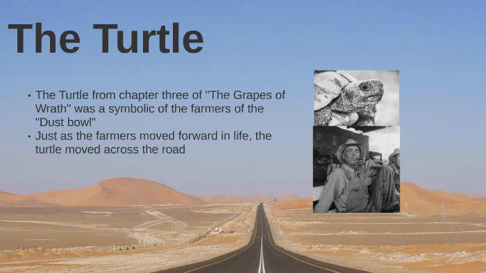 The Turtle by Joshua Cameron on Prezi