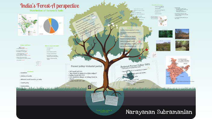 Forestry In India By Narayanan Subramanian On Prezi