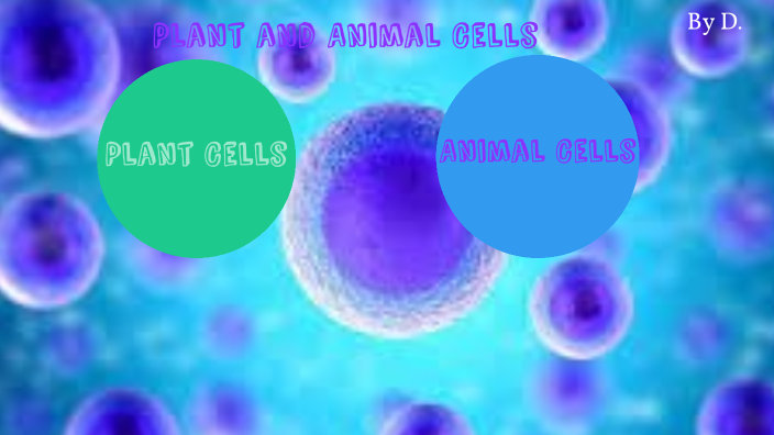 Plant/Animal Cell Project by Kim Vanucchi on Prezi
