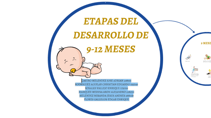 ETAPAS DEL DESARROLLO DE 9-12 MESES by Daniela Beltran