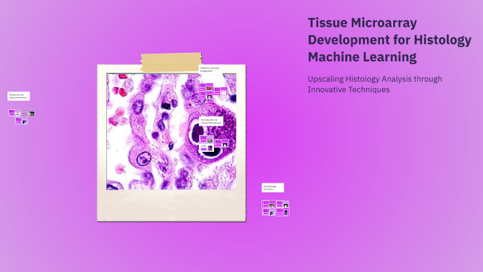 Machine Learning Microarray Tissue Microarray Development for Histology Machine Learning by Frida ...