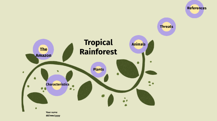 Tropical Rainforest: The Amazon by Quincy Simmons on Prezi