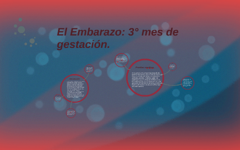 El Embarazo: 3° mes de gestación. by Nĭckolhaz Inzunza