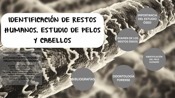 Identificación Por Medio De Pelos Y Cabellos