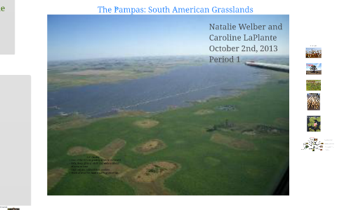 The Pampas: South American Grasslands by Natalie Welber on Prezi