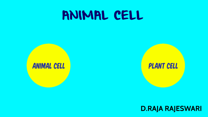 ANIMAL CELL by CREATIVE LEARNING on Prezi
