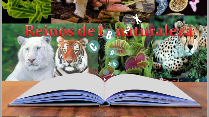 Reinos de la naturaleza by leidy Sofia Romero Lozano on Prezi