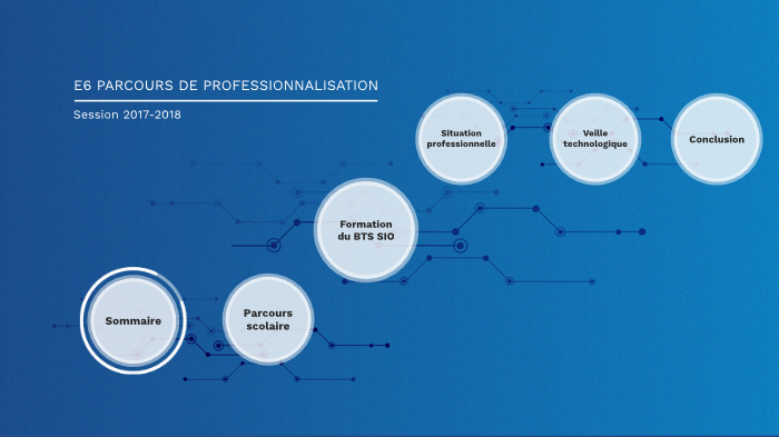 E6 PARCOURS DE PROFESSIONNALISATION by Alexandre Bollon on Prezi
