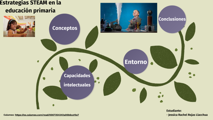 La enseñanza STEAM en el nivel de primaria de la educación obligatoria ...
