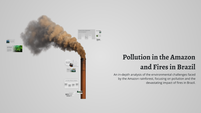 Pollution in the Amazon and Fires in Brazil by Patricia Mina on Prezi