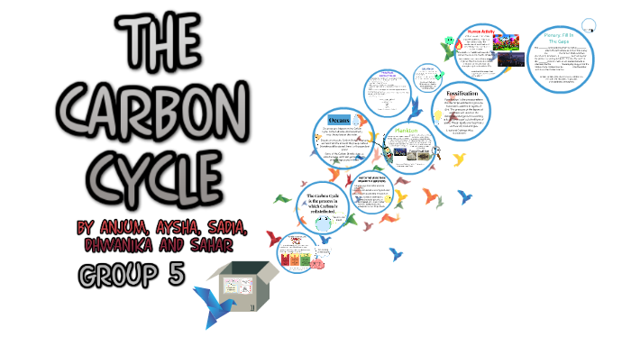 The Carbon Cycle by Epic Me on Prezi