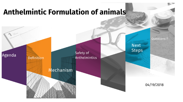 anthelmintic process definition