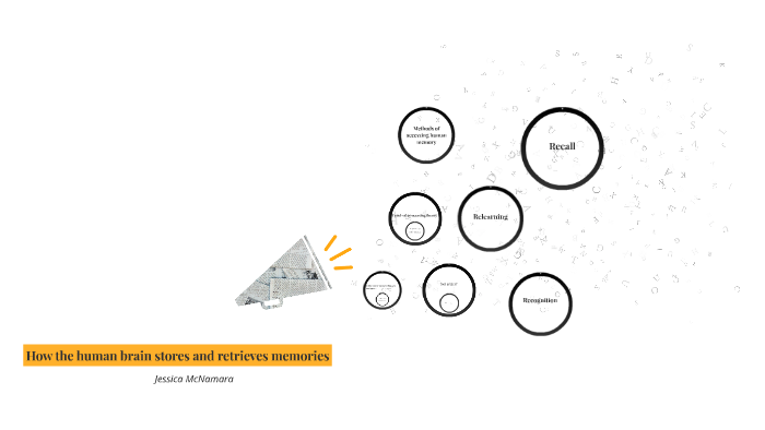 How the human brain stores and retrieves memories by Jessica M on Prezi