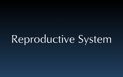 Biology Project: The Reproductive System by Paige Seeman on Prezi