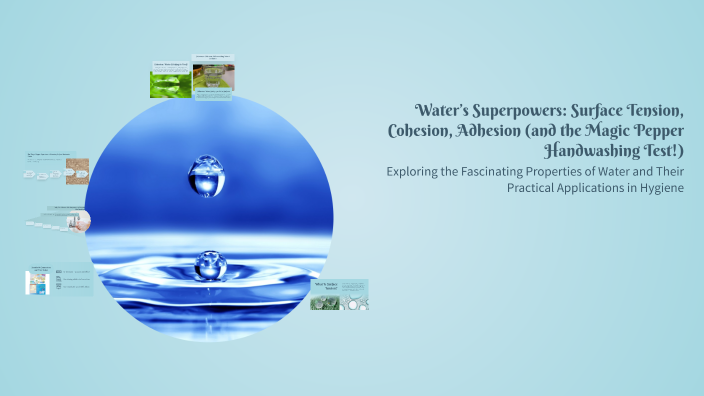 Water’s Superpowers: Surface Tension, Cohesion, Adhesion (and the Magic ...