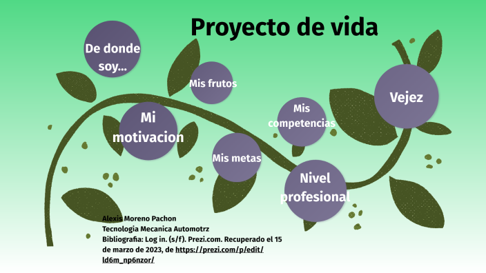 Proyecto de vida by Dayana Diaz Gonzalez on Prezi