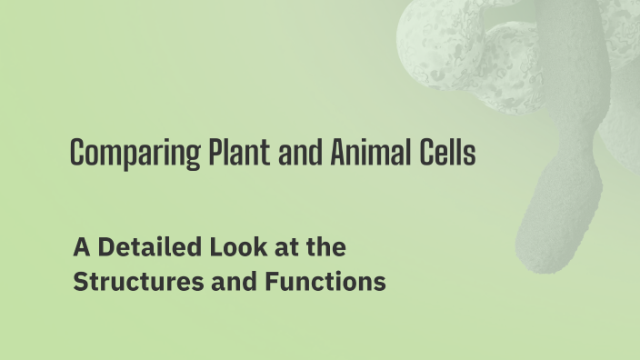 Comparing Plant and Animal Cells by Rizaldi Akbar on Prezi