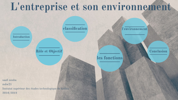 L'entreprise Et Son Environnement By Saafi Nouha On Prezi