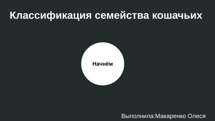 Классификация семейства кошачьих by Олеся Макаренко on Prezi