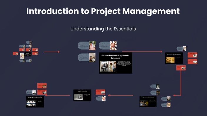Introduction to Project Management by Angela Hermoza on Prezi