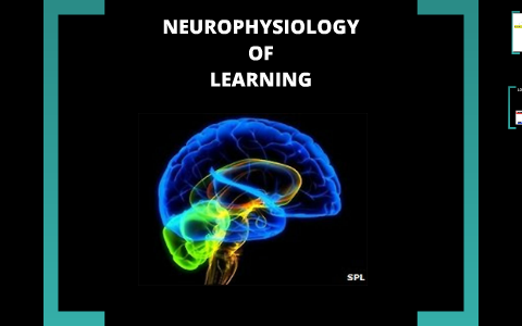 Neurophysiology of Learning by Carlos Ormeño Rosado on Prezi