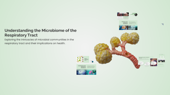 Understanding the Microbiome of the Respiratory Tract by pavan kumar on ...